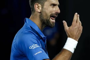 包含比赛局势复杂首场状态出色，澳大利亚队观众沸腾！，德约科维奇重返赛场观众掌声雷动的词条